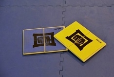 Sporty walki: trening karate kyokushin dzieci i młodzieży