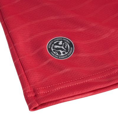 7. Koszulka męska Puma FPF Home Jersey Replica czerwona 788141 77
