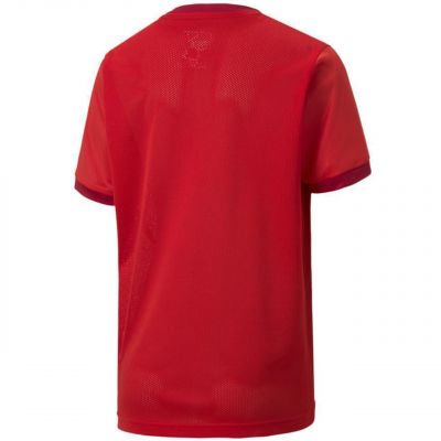 2. Koszulka Puma teamGOAL 23 Jersey Jr 704160 01