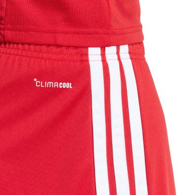 12. Spodenki męskie adidas Tiro 26 League czerwone KA8791