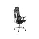 2. Equip Ergonomischer BĂĽrostuhl+Kopf/ArmstĂĽtzen+SFS    schwarz lite Retail