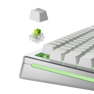 2. Glorious Gaming GLO-KB-ACC-SWT-RAPTOR-HE-36 bez kategorii