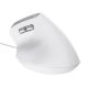 4. Mysz Trust BAYO II ERGONOMIC White
