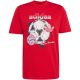2. Koszulka męska adidas FC Bayern Muenchen Seasonal Graphic czerwona KG2586