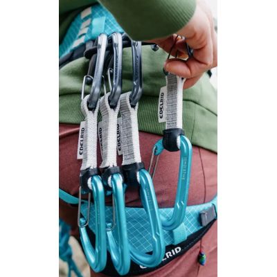 4. Edelrid 737930106020 karabińczyk do wspinaczki Zapięcie z blokadą W kształcie litery D Niebieski, Srebrny 6 szt.
