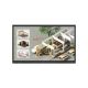 Monitor interaktywny LG CreateBoard 65TR3DQ LED 65" 4K Ultra HD Android Signage Czarny