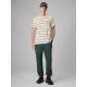 7. Spodnie casual joggery męskie 4F 4FRSS26TTROM1915-40S