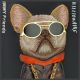 7. Etui Nimmy Glasses Cool Dog do iPhone 15 Pro - czarne