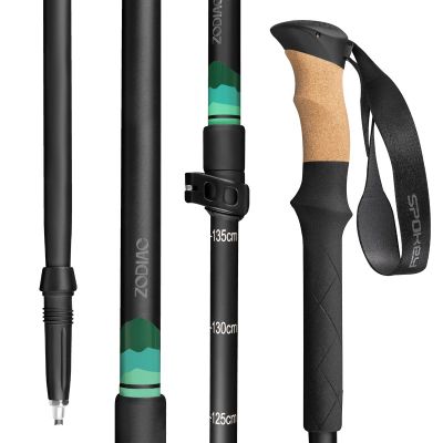 5. Kije trekkingowe Spokey Zodiac 105-135 cm trzysegmentowe SPK-944819