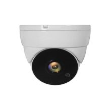 LevelOne ACS-5302 kamera przemysłowa Kopułowa Kamera bezpieczeństwa CCTV Wewnętrzna / zewnętrzna Sufit