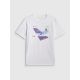 6. T-shirt męski 4F 4FRSS26TTSHM3661-10S