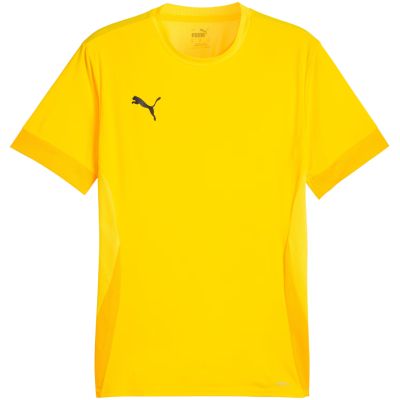 3. Koszulka Puma teamGoal Matchday Jersey M 705747 07