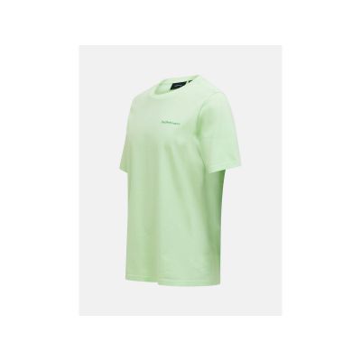 2. Koszulka PEAK PERFORMANCE Original Small Logo Tee Men zielony