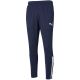 3. Spodnie Puma teamLiga Training Pants M 657242 06