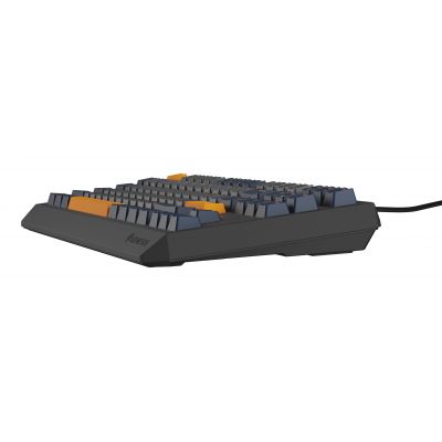 9. GENESIS Thor 230 TKL klawiatura Gaming USB QWERTY Angielski Niebieski