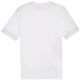 2. Koszulka Puma teamGoal Matchday Jersey M 705747 04