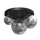Lampa sufitowa CEILING LIGHT BURSA 3XE14/E27 BLACK/GOLD
