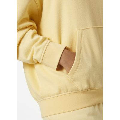 4. Bluza Helly Hansen Allure Hoodie W 53981 369