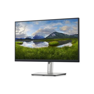 2. MONITOR DELL LED 23.8" P2423DE