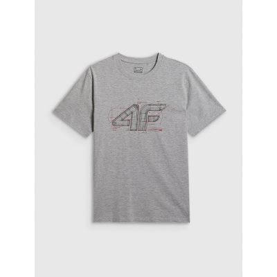 5. T-shirt regular z nadrukiem męski 4F 4FRSS26TTSHM3989-10S