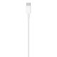 4. Apple USB-C to Lightning Cable (1 m)