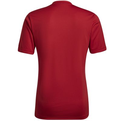 9. Koszulka adidas Entrada 22 Graphic Jersey M HB0572