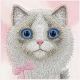8. Etui Nimmy Big Eyed Pet 2.0 Cat na iPhone 17 - różowe