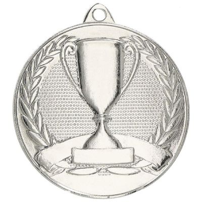 5. Medal srebrny ogólny  z pucharkiem