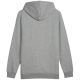 2. Bluza Puma Ess+ Logo LAB Gradient Hoodie FL M 681775 03