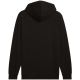10. Bluza Puma ESS No.1 Logo Hoodie FL M 682570 01