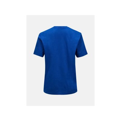 2. Koszulka męska PEAK PERFORMANCE M Explore Graphic Tee kolor niebieski