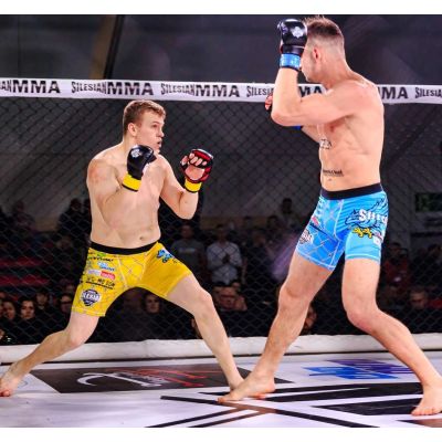 21. Rękawice MMAsparingowe L/XL - Phantom Red - Valor Series | DBX Bushido