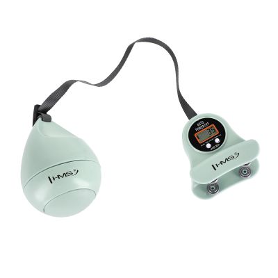 20. Hula Hop HMS HHM13 z magnesami, obciążeniem i licznikiem zielony