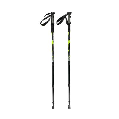Kijki trekkingowe CMP Bern Trekking Poles zielono-czarne 3B36297 U911