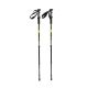 Kijki trekkingowe CMP Bern Trekking Poles zielono-czarne 3B36297 U911