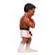 5. MINIX - MUHAMMAD ALI
