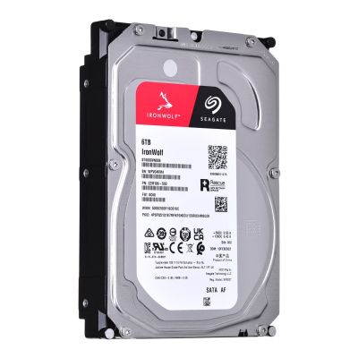 2. Dysk twardy HDD Seagate IronWolf 6TB 3,5" SATA ST6000VN006