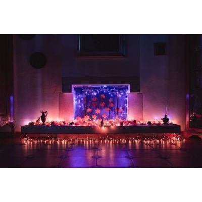 8. Twinkly Strings – 250 RGB+W Ciąg świetlny, przezroczysty przewód, typ wtyczki F