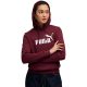 2. Bluza Puma ESS No.1 Logo Hoodie FL W 682389 96