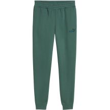 Spodnie męskie Puma ESS 2 Color No.1 Logo zielone 684713 90