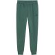 Spodnie męskie Puma ESS 2 Color No.1 Logo zielone 684713 90