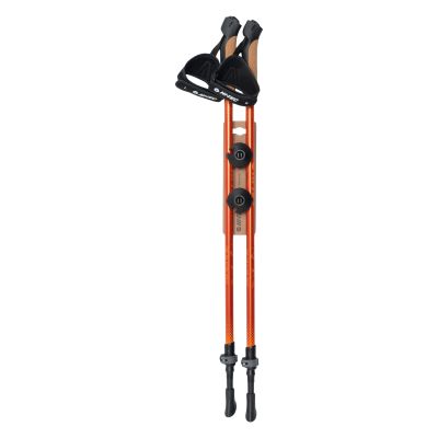 Kije nordic walking NORDI