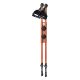Kije nordic walking NORDI