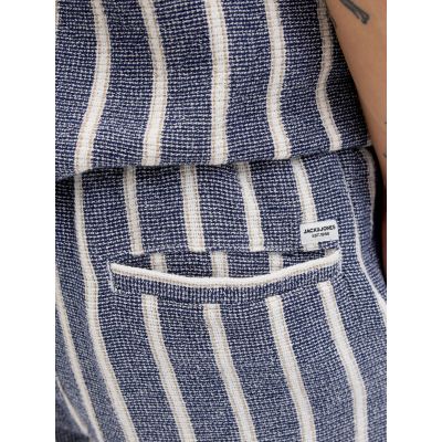 5. Jack&Jones krótkie joggery JPSTJAIDEN COBA STRIPE JOG SHORTS REG SN 12274413 OCEAN CAVERN