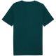 4. Koszulka męska Puma Ess 2 Color Small No. 1 Logo Tee morska zieleń 684717 75