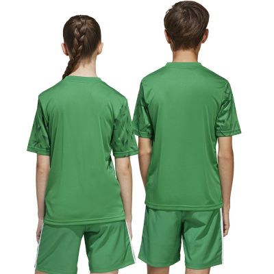 2. Koszulka adidas Team Icon 25 JSY Jr JJ1956