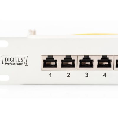 5. Digitus DN-91624S  1U