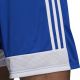 5. Spodenki adidas Tastigo 19 Shorts Jr DP3682
