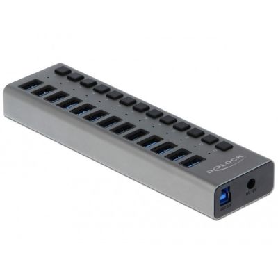 DeLOCK Hub zewnętrzny USB 5 Gbps – 13 Portów + Switch