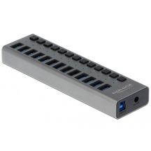 DeLOCK Hub zewnętrzny USB 5 Gbps – 13 Portów + Switch